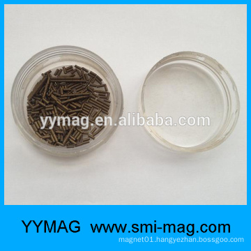 parylene coating super strong small magnet